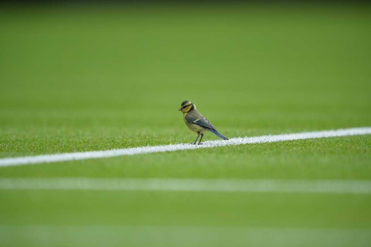 GettyImages-478965020_master.jpg
