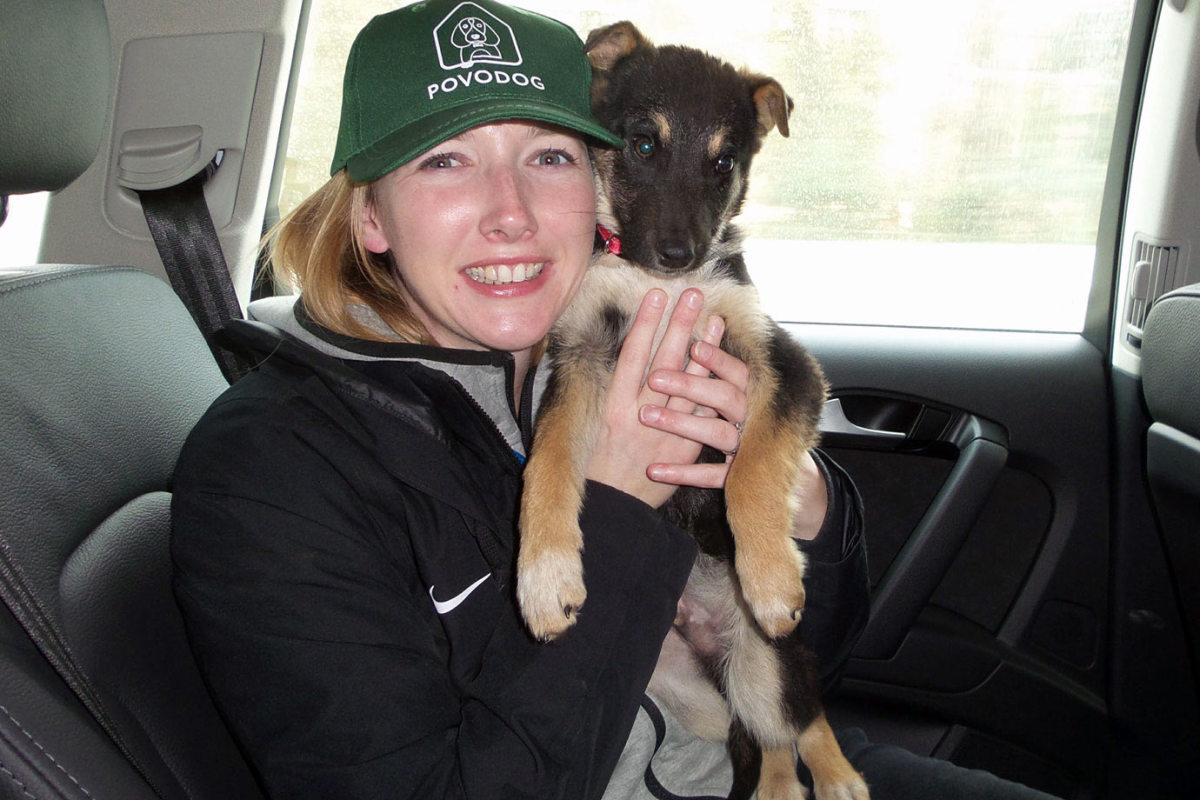 Amanda-Bird-dog-Sochi.jpg