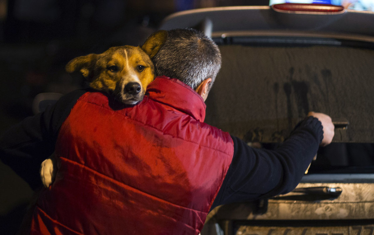sochi-olympics-stray-dogs-45bce0a8a12f43e9b16f5838605fd8ef-0.jpg