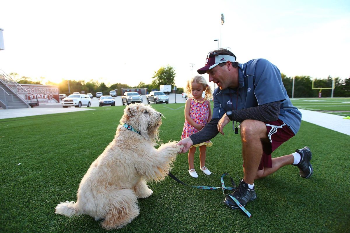 mississippi-state_1128.jpg