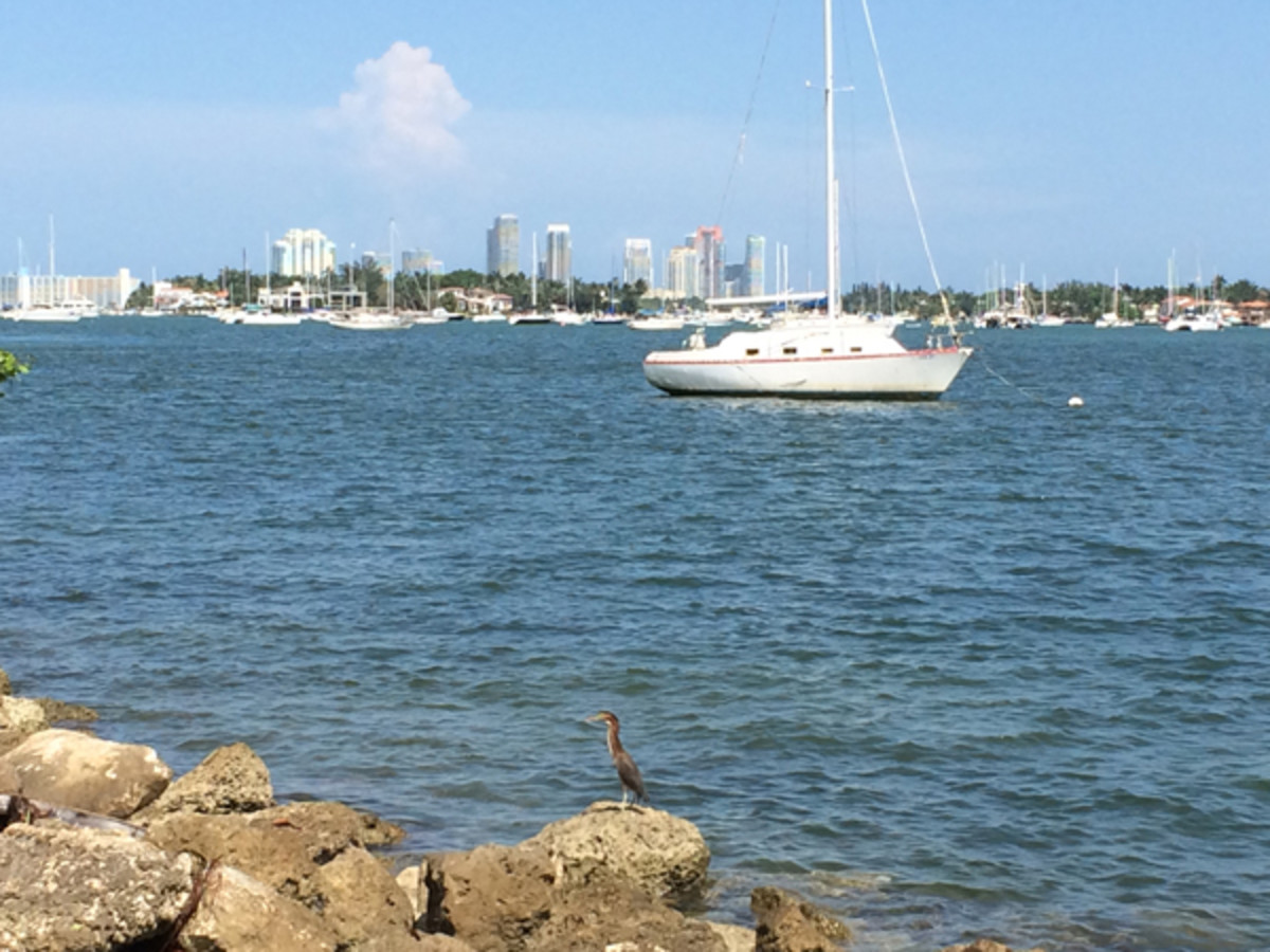 miami-1