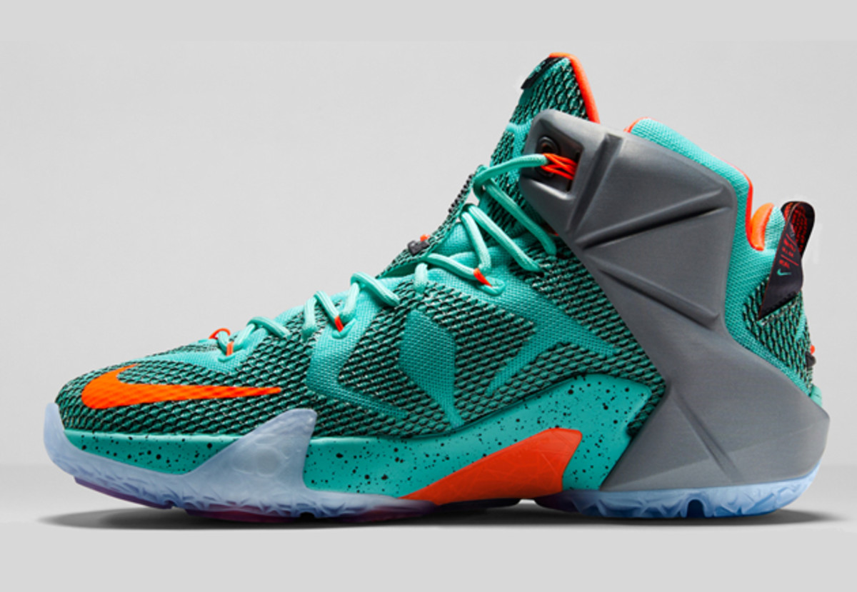LeBron James 12 D