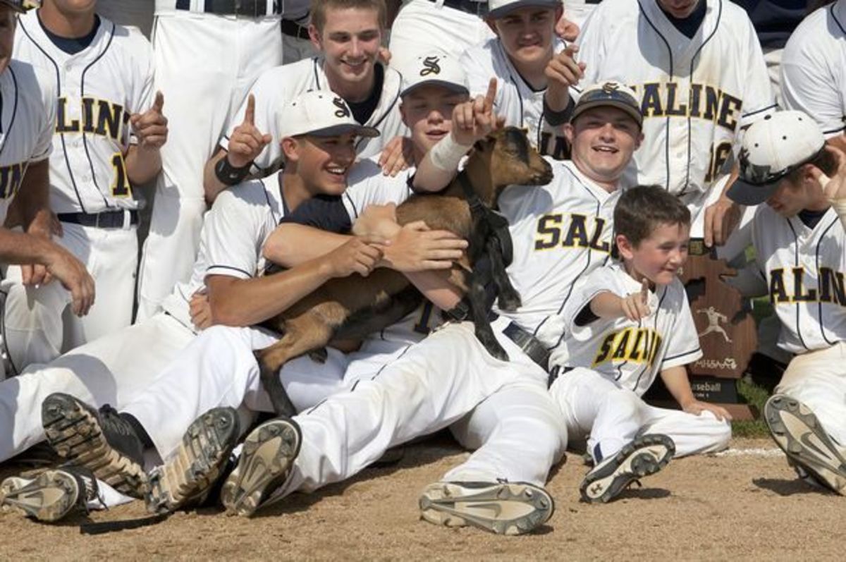 salinegoat