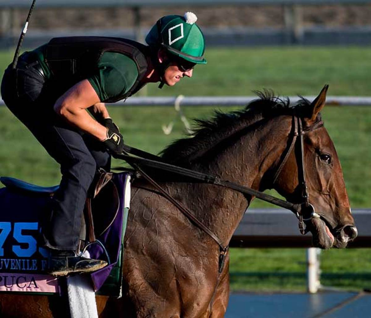 Donegal will send Puca to the starting gate in the Breeders' Cup Juvenile Fillies on Saturday.