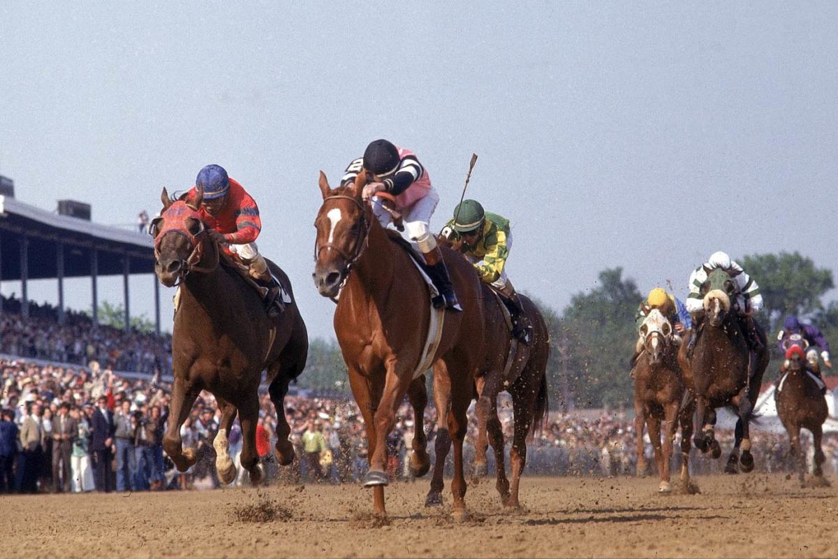 1978-Affirmed-001087802.jpg