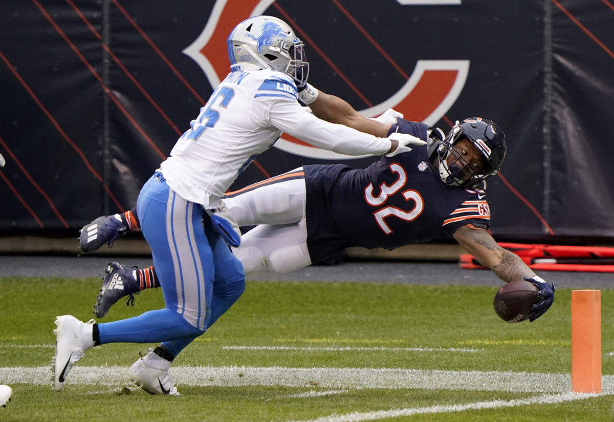 lions5