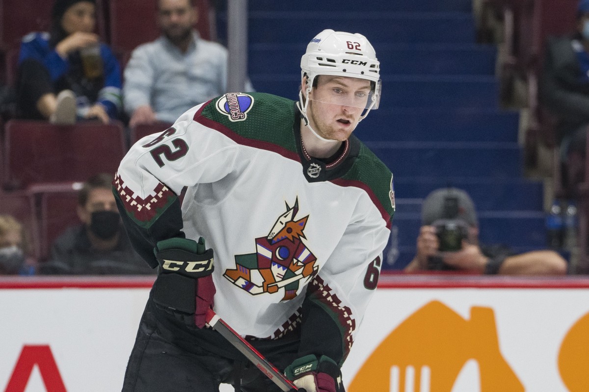 Arizona Coyotes