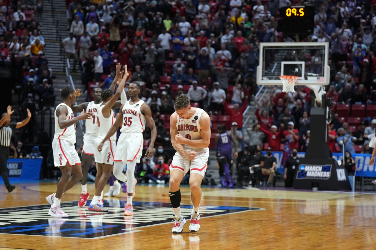 Arizona Wildcats