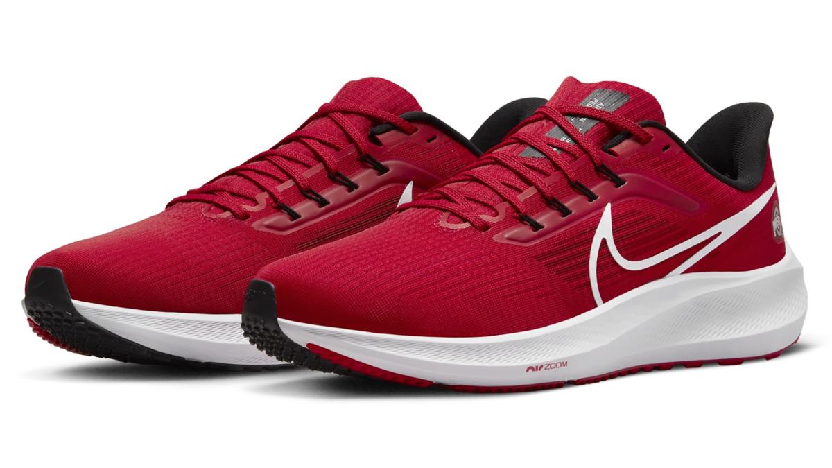Pegasus 39  