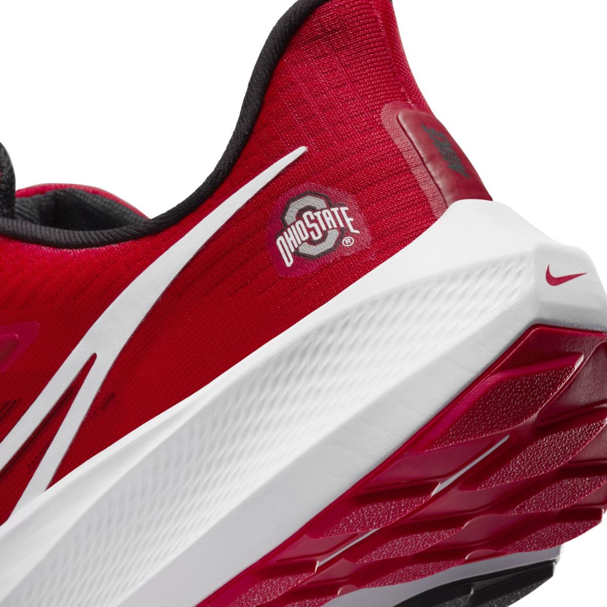 Pegasus 39 