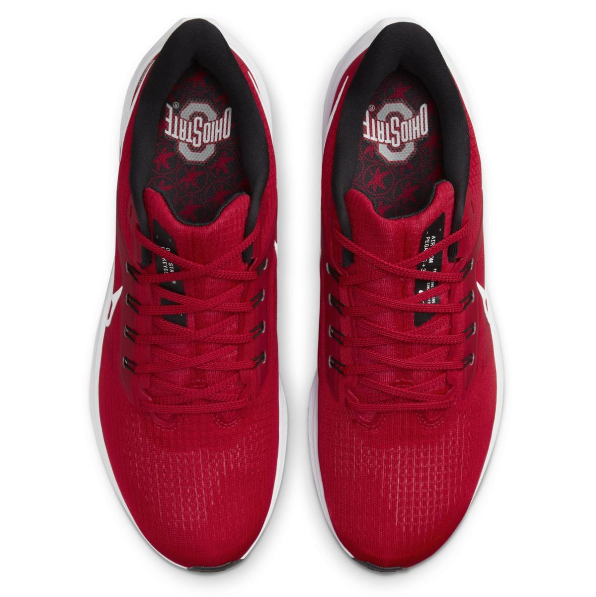 Pegasus 39