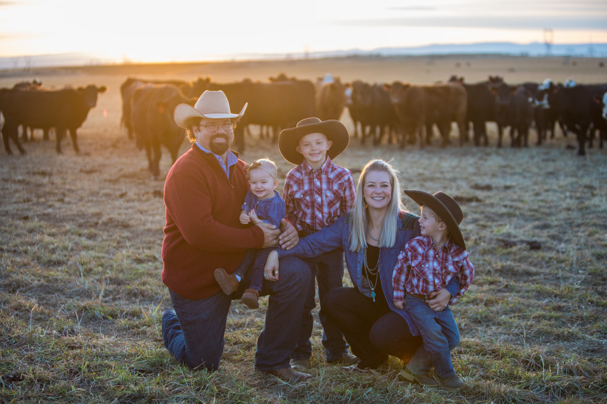 Will Cows 1