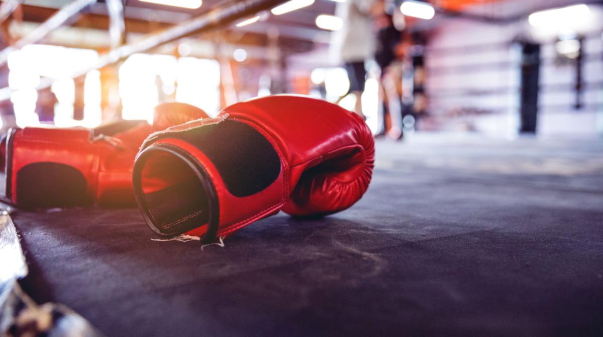 Best Boxing Gloves