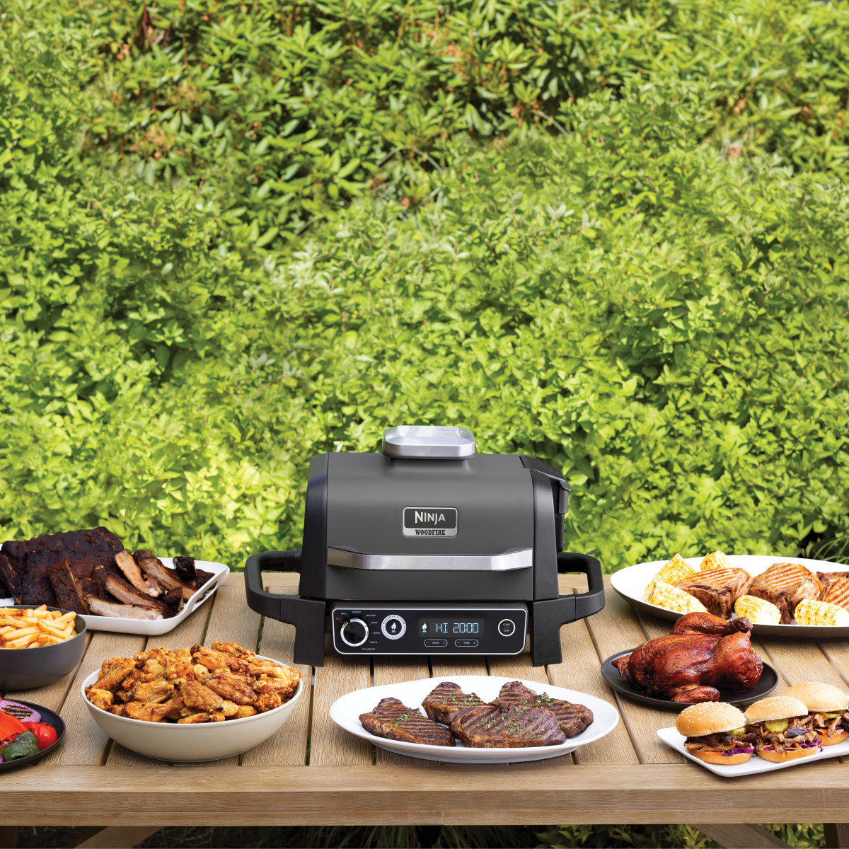 Ninja Woodfire Grill