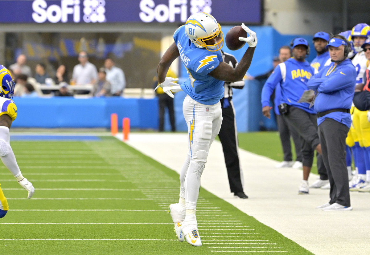 Mike Williams (81) makes a one handed catch 