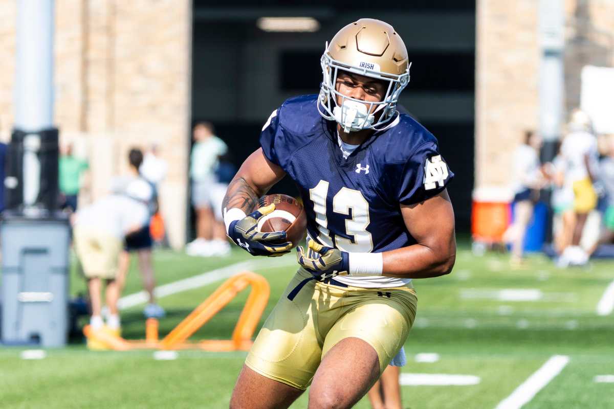 Tennessee Volunteers TE Holden Staes during summer workouts with Notre Dame. (Photo by John Mersits of USA Today Network)